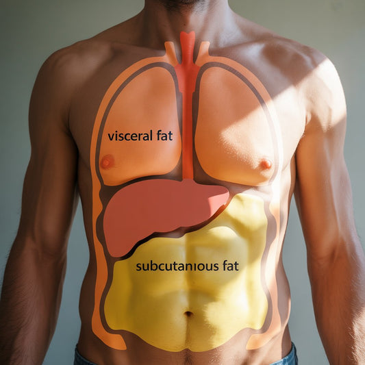Visceral vs Subcutaneous Fat: Why ‘Belly Fat’ Hits Different