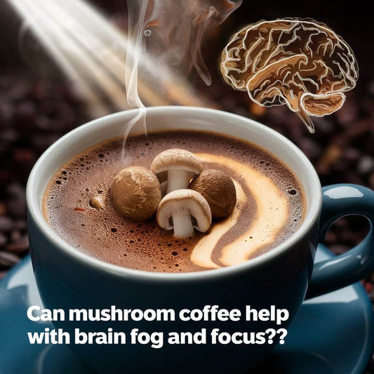 Can Mushroom Coffee Help With Brain Fog and Focus?