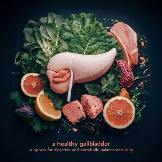 Gallbladder Health: Supporting Fat Digestion & Metabolic Balance Naturally
