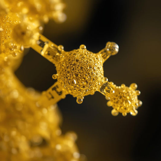 Vitamin B2 (Riboflavin) — The Repair Vitamin