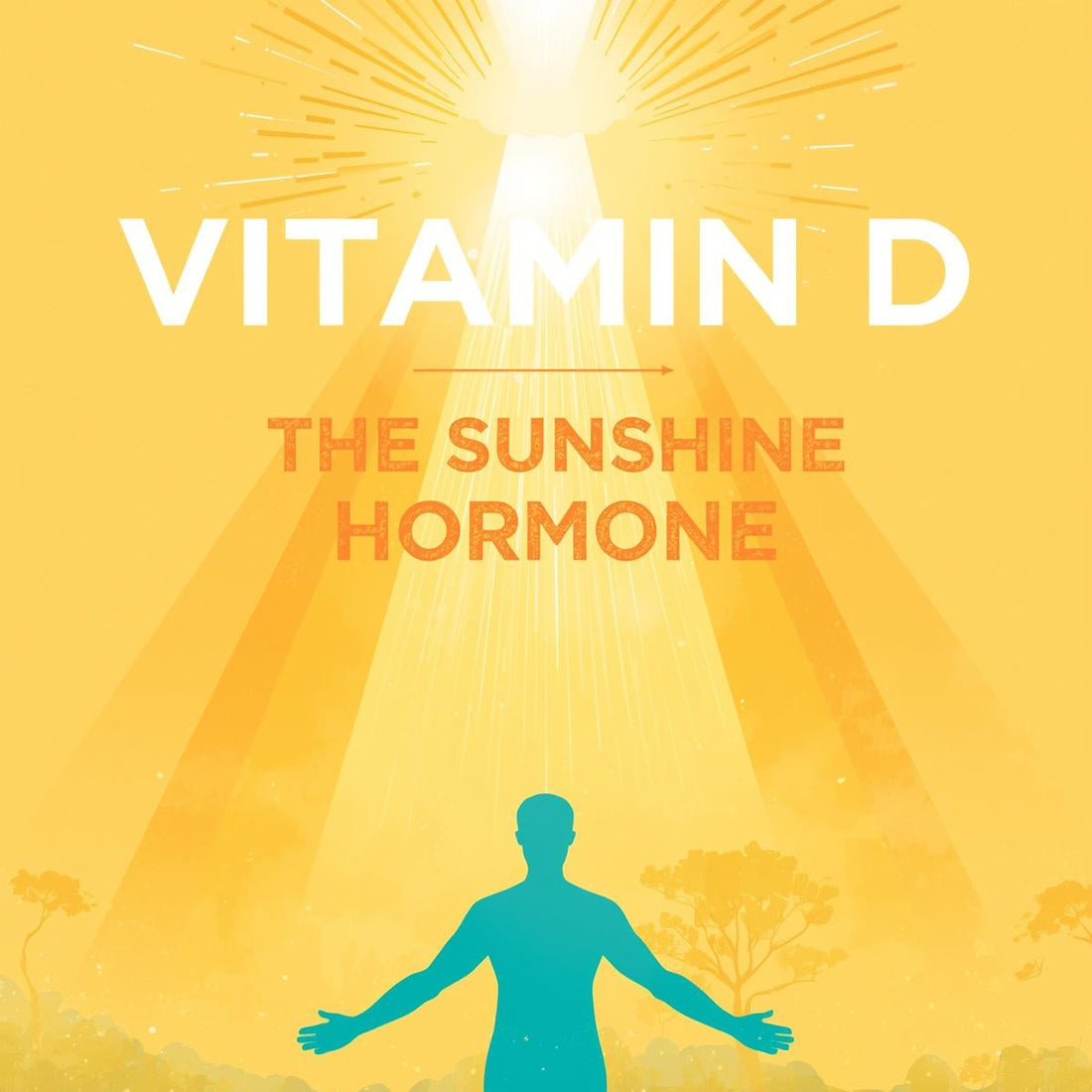 Vitamin D — The Sunshine Hormone
