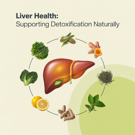 Liver Health: Supporting Detoxification Naturally