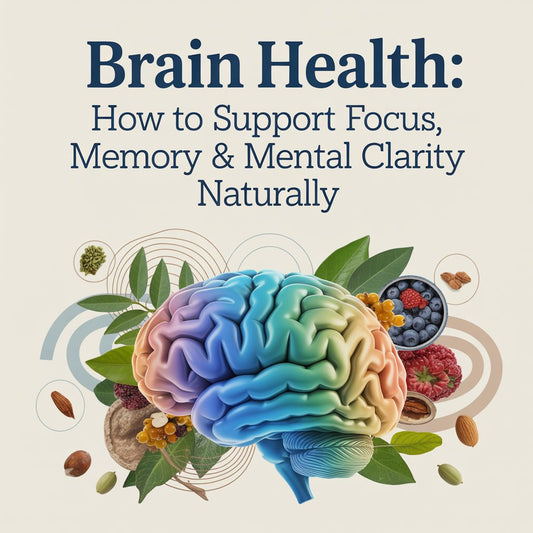 Brain Health: How to Support Focus, Memory & Mental Clarity Naturally