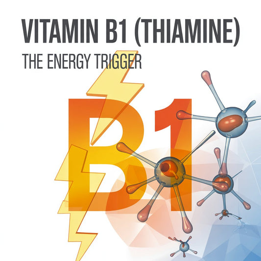 Vitamin B1 (Thiamine) — The Energy Trigger