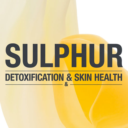 Sulphur — Detoxification & Skin Health