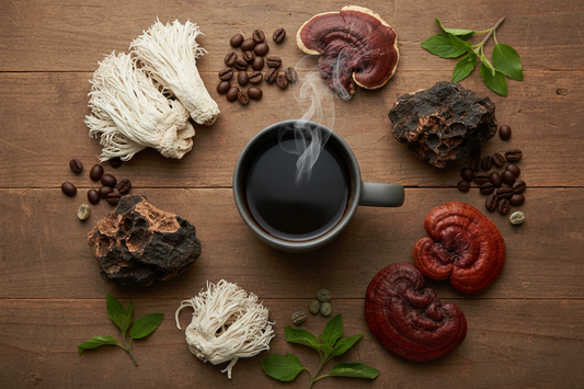 What Is the Best Mushroom Coffee? A Smarter Coffee Alternative for Daily Focus