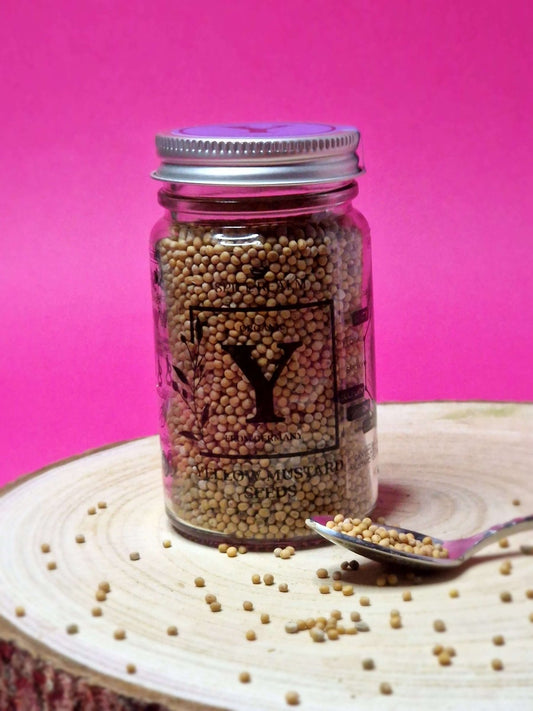 Jar of organic Yellow Mustard Seeds, displaying their small, round shape and bright yellow colour